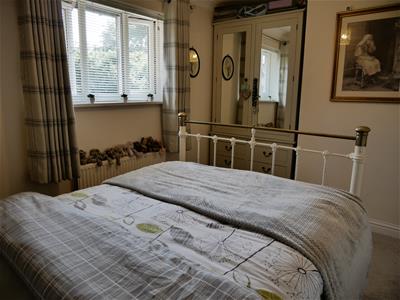 Picture 19